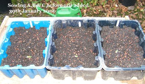 Sowing A B & C 30.1.2006 before adding grit